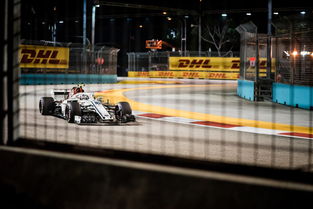 F1赛车赛场焦点！瑞士队对阵韩国队，年轻新星表现惊艳，未来可期-半岛体育app